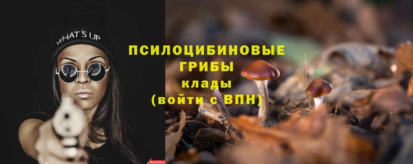ешки Медногорск