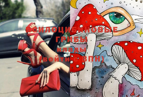spice Магас