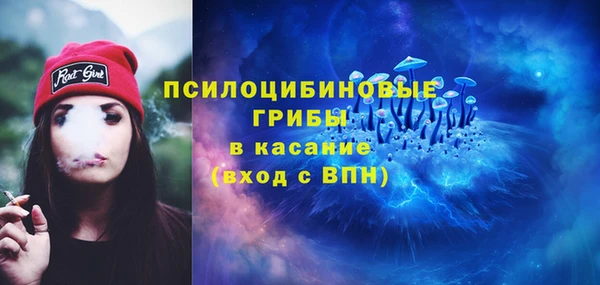 spice Магас